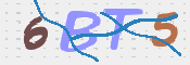 この文字を入力してください