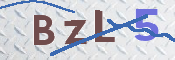 この文字を入力してください