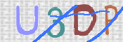 この文字を入力してください
