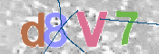 この文字を入力してください