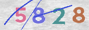 この文字を入力してください
