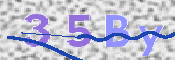 この文字を入力してください