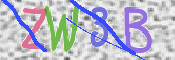 この文字を入力してください