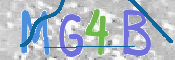 この文字を入力してください