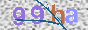 この文字を入力してください