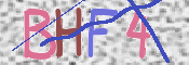 この文字を入力してください