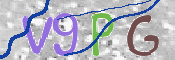 この文字を入力してください