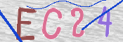 この文字を入力してください