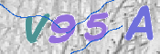 この文字を入力してください