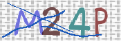 この文字を入力してください