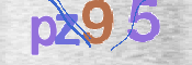 この文字を入力してください
