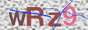 この文字を入力してください