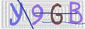 この文字を入力してください