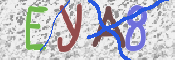 この文字を入力してください
