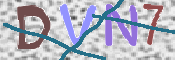 この文字を入力してください