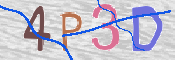 この文字を入力してください