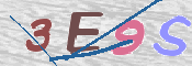 この文字を入力してください