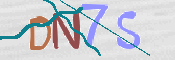 この文字を入力してください