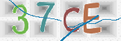 この文字を入力してください