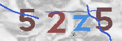 この文字を入力してください