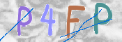 この文字を入力してください