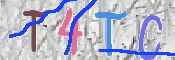 この文字を入力してください