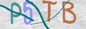 この文字を入力してください
