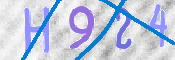 この文字を入力してください