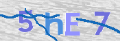 この文字を入力してください
