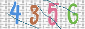 この文字を入力してください