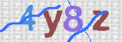 この文字を入力してください