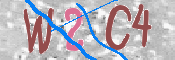 この文字を入力してください