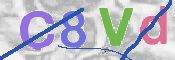 この文字を入力してください
