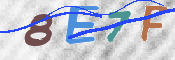 この文字を入力してください