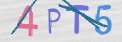 この文字を入力してください