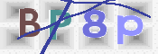 この文字を入力してください