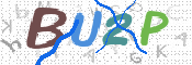 この文字を入力してください