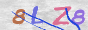 この文字を入力してください