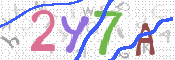 この文字を入力してください