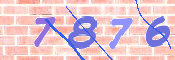 この文字を入力してください