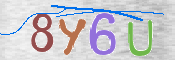この文字を入力してください