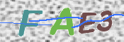 この文字を入力してください