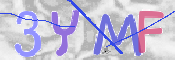 この文字を入力してください