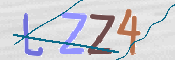 この文字を入力してください