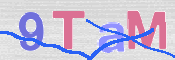 この文字を入力してください