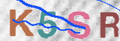 この文字を入力してください
