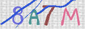 この文字を入力してください
