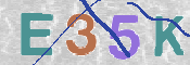 この文字を入力してください