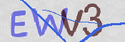 この文字を入力してください