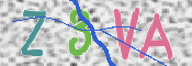 この文字を入力してください